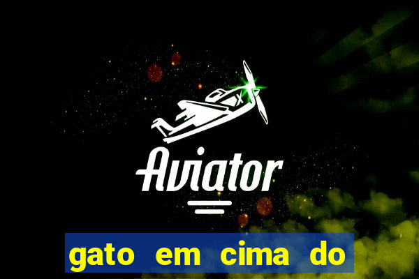 gato em cima do telhado significado espiritual